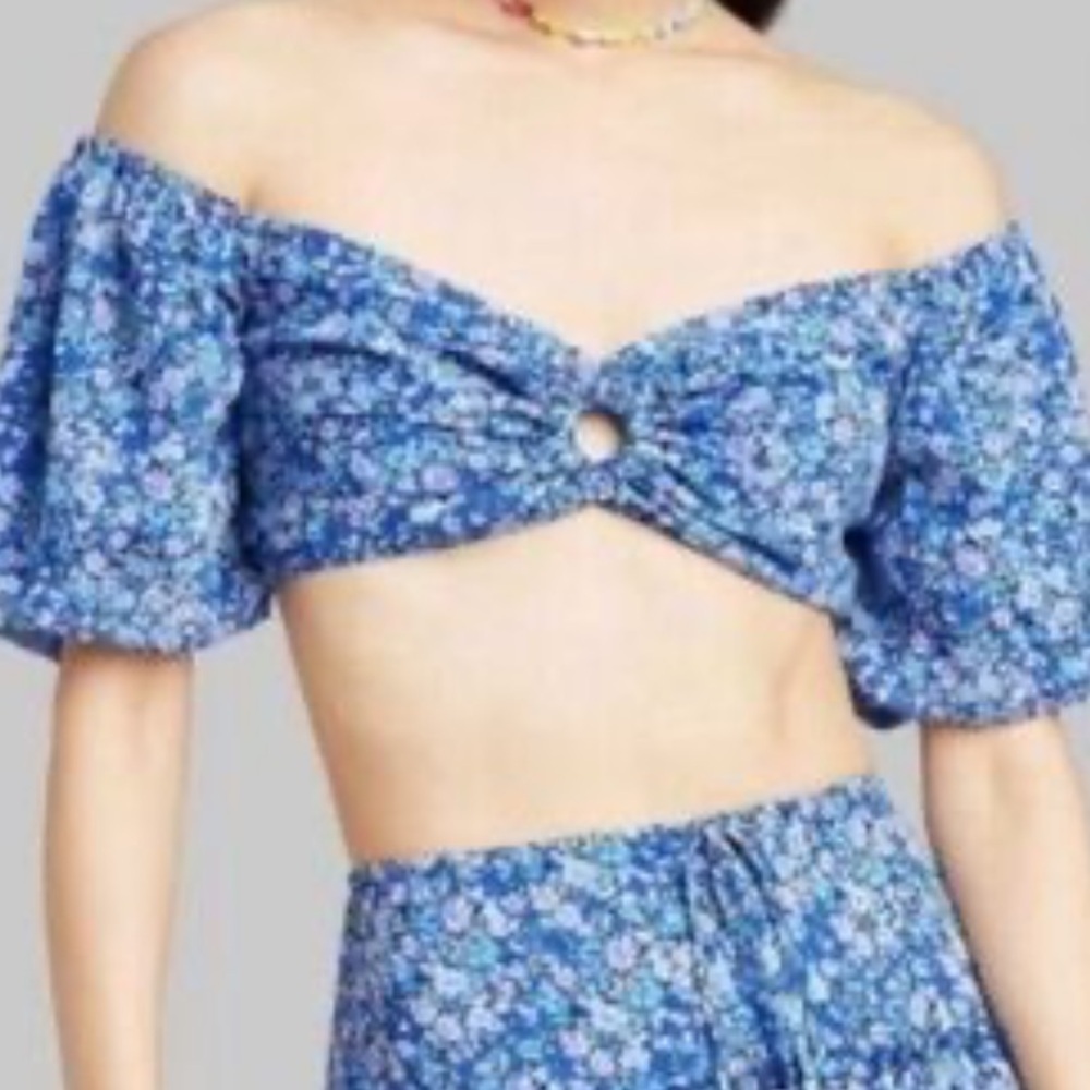 Wild fable crop small Floral Blue Women's shirt puff sleeve lined just the top